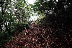 BIB: 
                            <button type="button" onclick="openModal(26201150)" class="btn btn-primary btn-sm float-right btn-popup" data-toggle="modal" data-target=".modal-high-quality">
                        <i class="fas fa-shopping-cart"></i> Add to Cart
                    </button>
                                            <button type="button" onclick="isThisMe(26201150, true)" class="btn btn-success btn-sm float-right btn-popup btn-isme hidden" data-toggle="tooltip" data-placement="bottom" title="นี่คือรูปของคุณใช่ไหม คลิกที่นี่เพื่อเอาเข้าอัลบั้ม">
                        <i class="fas fa-plus"></i> Add to album
                    </button>
                    <button type="button" onclick="isThisMe(26201150, false)" class="btn btn-warning btn-sm float-right btn-popup btn-isnotme hidden">
                        <i class="fas fa-ban"></i> Remove from album
                    </button>